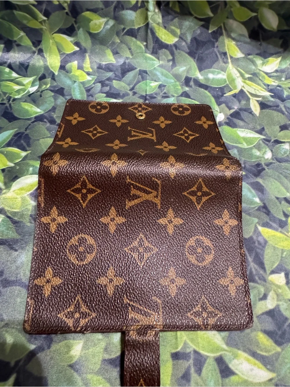 Louis Vuitton authentic louis
